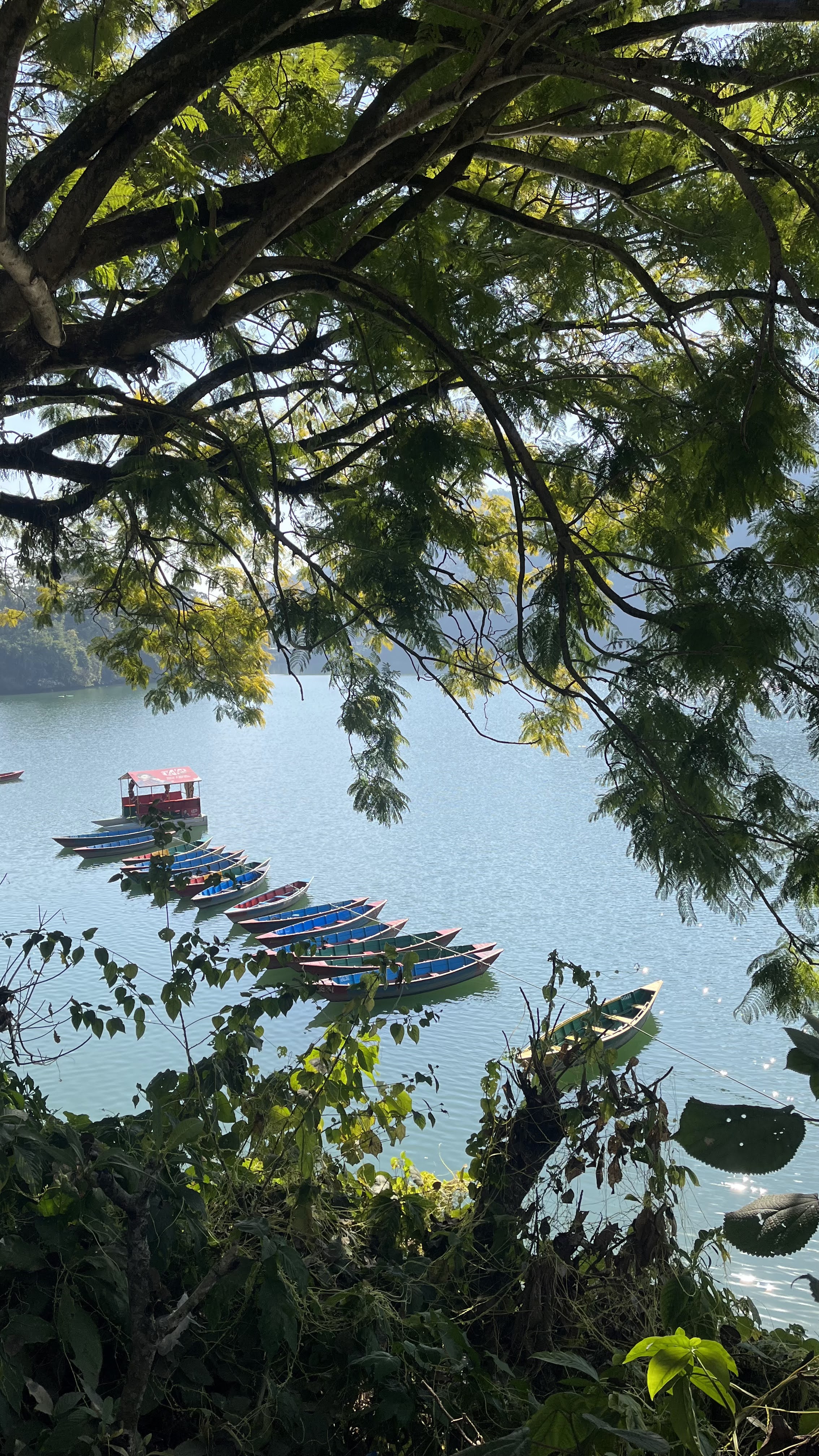 Boats around begnas tal